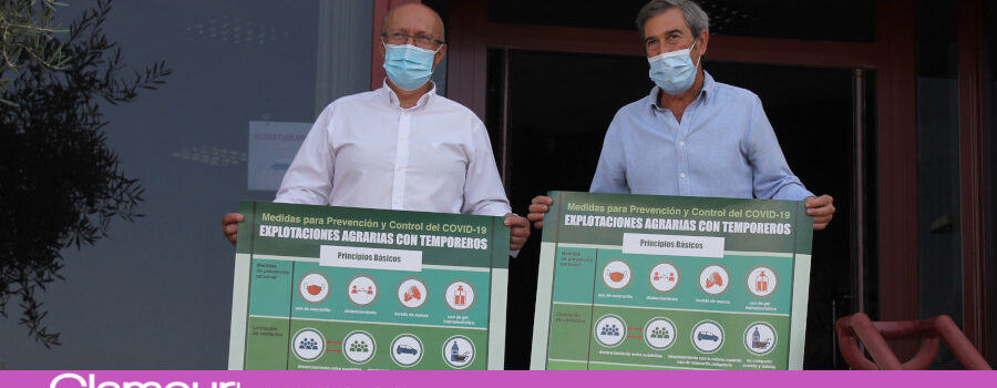 Ayuntamiento y sector olivarero piden mantener las medidas preventivas durante la campaña de recogida de la aceituna