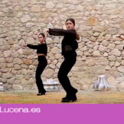 La Escuela de Baile de Araceli Hidalgo promueve el Día Internacional del Flamenco