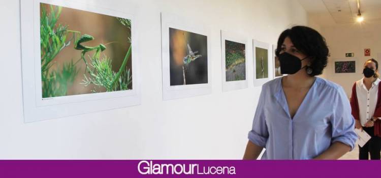 Se estrena la exposición “Biodiversidad” esencia de la naturaleza de Lucena en 40 fotografías