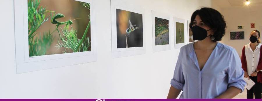 Se estrena la exposición “Biodiversidad” esencia de la naturaleza de Lucena en 40 fotografías