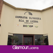 Ayuntamiento y Cooperativa Olivarera de Lucena impulsarán la formación de los trabajadores del campo