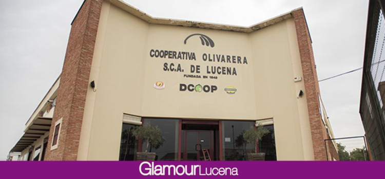 Ayuntamiento y Cooperativa Olivarera de Lucena impulsarán la formación de los trabajadores del campo