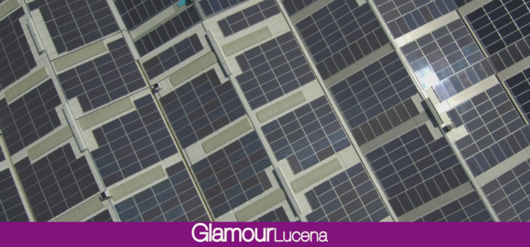 EnchufeSolar instalará sobre la cubierta de su vecina Infrico 2.560 paneles solares para una potencia total de 1.280 kWp, el mayor proyecto fotovoltaico acometido en Andalucía