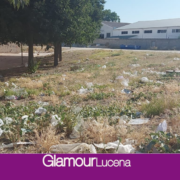 Ciudadanos Lucena ve insuficientes las medidas adoptadas para mejorar la limpieza de la zona del mercadillo y solicita se retomen los trabajos de los operarios municipales el mismo miércoles