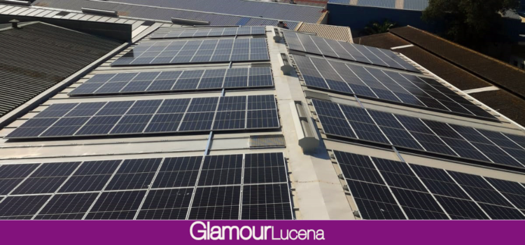 El gigante conservero UBAGO producirá su propia energía con más de 3.000 paneles solares de la lucentina EnchufeSolar