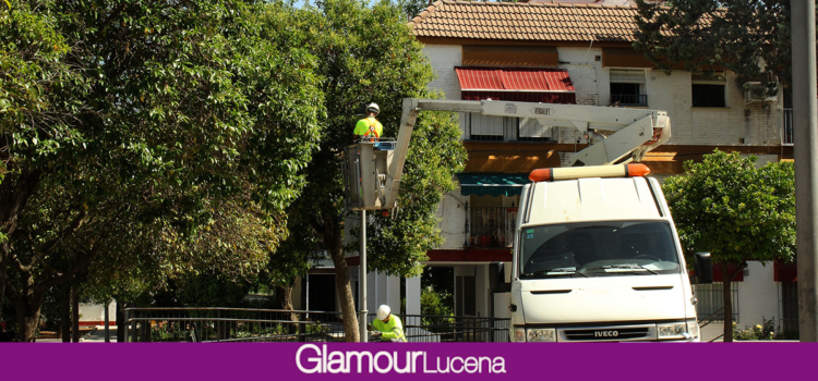 El Ayuntamiento de Lucena renovará la luminaria pública en dos barrios y las pedanías con más 1,3 millones de euros