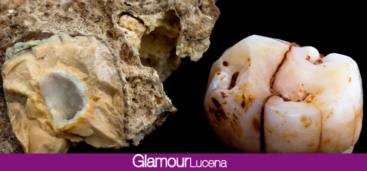 Hallazgo y publicación de un resto dental humano de la Cueva del Ángel