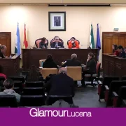 Lucena se dota de un Plan Municipal del Cambio Climático