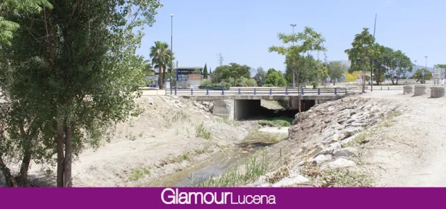 Servicios Operativos informa sobre la intervención y limpieza en el cauce del Río Lucena