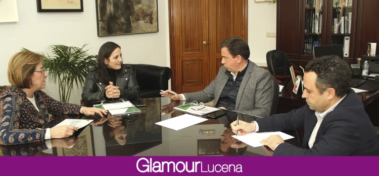 Fomento presenta en Lucena su programa de ayudas a la accesibilidad de  viviendas