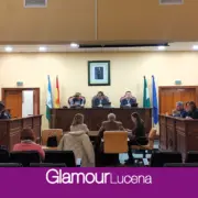 El Ayuntamiento de Lucena solicita una subvención de 375.000 euros para cinco  programas de formación e inserción laboral