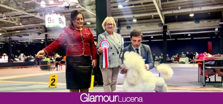 La caniche gigante de Marina Gámiz, CHANEL se proclama campeona en la 110ª International Dog Show de Luxemburgo