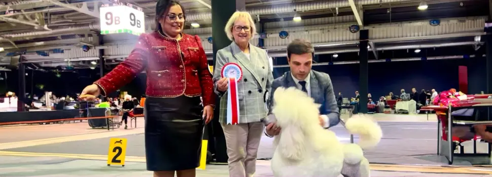 La caniche gigante de Marina Gámiz, CHANEL se proclama campeona en la 110ª International Dog Show de Luxemburgo