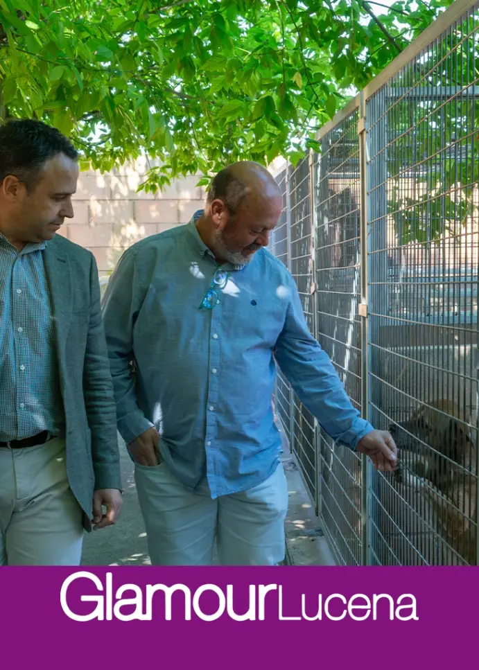 El Centro de Acogida Animal Municipal promueve una campaña de adopción de perros abandonados