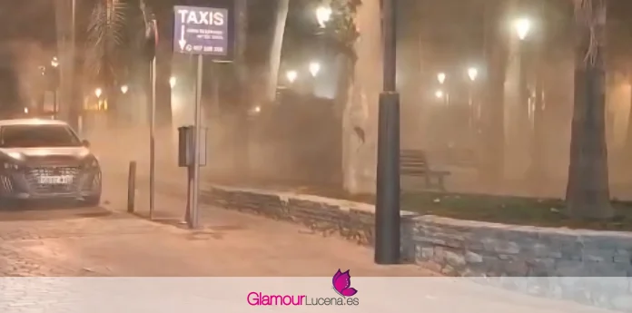 sopladoras paseo del coso