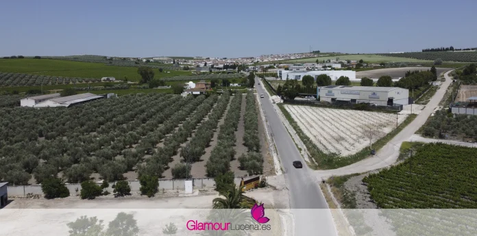 carril peatonal las navas moriles