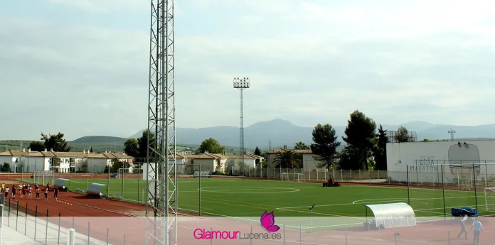 obras bar cafetería ciudad deportiva lucena
