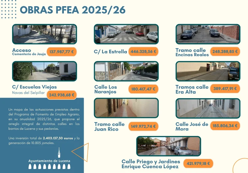 obras pfea lucena 2025 2026