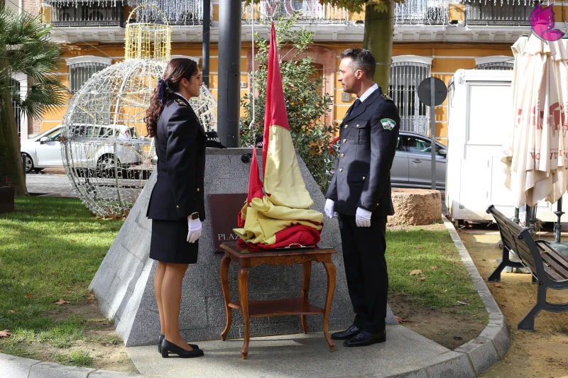 día de la constitución