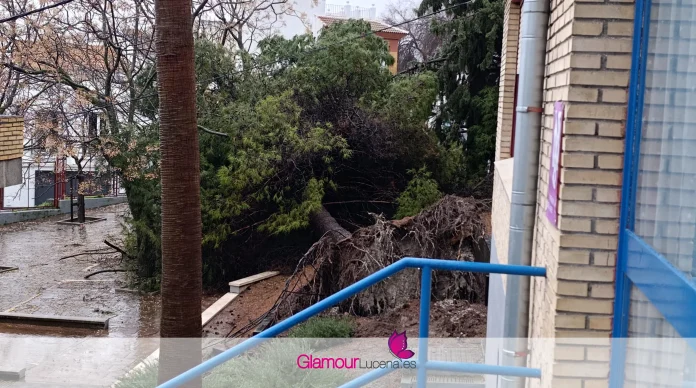 CEIP El Carmen cerrado por daños de la borrasca Leonardo