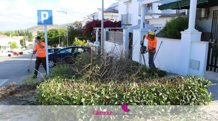 licitación servicio jardinería Lucena
