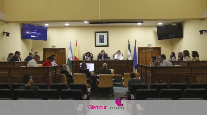 ayudas temporal lucena
