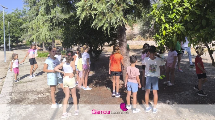 Aula de Verano Lucena 2026